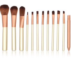 Makeup Brush Set Of 12 Makeup Tools - Aniron Shop