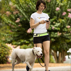 Hands-Free Dog Leash | Walking and Training Belt