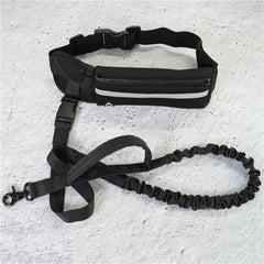 Hands-Free Dog Leash | Walking and Training Belt