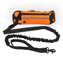 Hands-Free Dog Leash | Walking and Training Belt