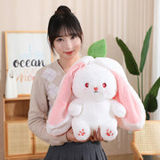 Carrot and Strawberry Turn Into Rabbit Toy For Girls