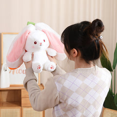 Carrot and Strawberry Turn Into Rabbit Toy For Girls